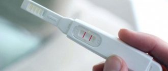 5 most popular pregnancy tests