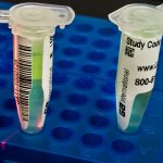 PCR tests for burning sensation in the penis