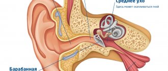 anatomical structure of the ear and causes of ear pain