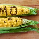 What are GMO foods and how do they affect the body?