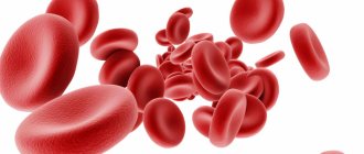 Red blood cells: normal, why they are exceeded, the main reasons for men and women