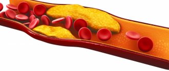 Cholesterol in the body: norms for different ages