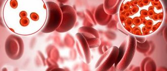 The number of red blood cells in anemia and normal