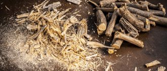 Licorice root is a health superfood. Its medicinal properties, where it is used 