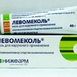 Ointment for the treatment of purulent inflammations