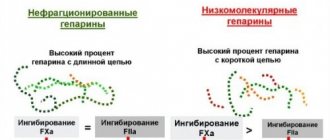 Mechanism of action of the drug