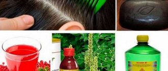 Folk remedies for lice