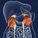 Adrenal tumor: symptoms and treatment