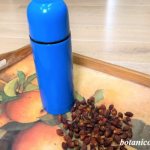 preparing rosehip decoction in a thermos