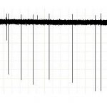 An example of a recording obtained from electrophysiological recording of neuron activity