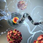 Multiple sclerosis: causes, symptoms and treatment of sclerosis