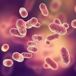 The role of normal oral microflora in the human body