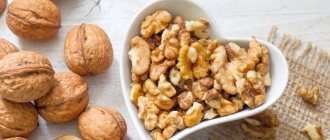 Composition, calorie content of walnuts: 10 beneficial properties and contraindications