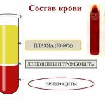 состав крови