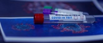 Is it worth testing for antibodies to coronavirus and where to do it in Barnaul?