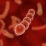 Streptococci: why they are dangerous, how to identify and treat