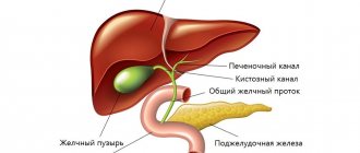Structure of the biliary tract