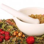 The use of herbal decoctions is prescribed as a concomitant treatment