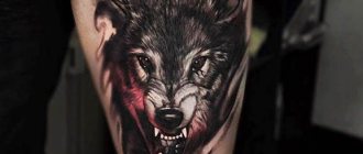 Wolf with open mouth tattoo. The meaning of the picture, photo 