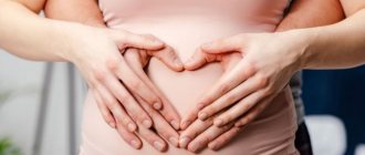 Второй триместр беременности: особенности состояния, что нужно знать женщине